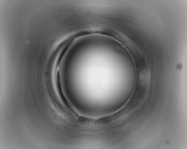 X0000091860732200709051208