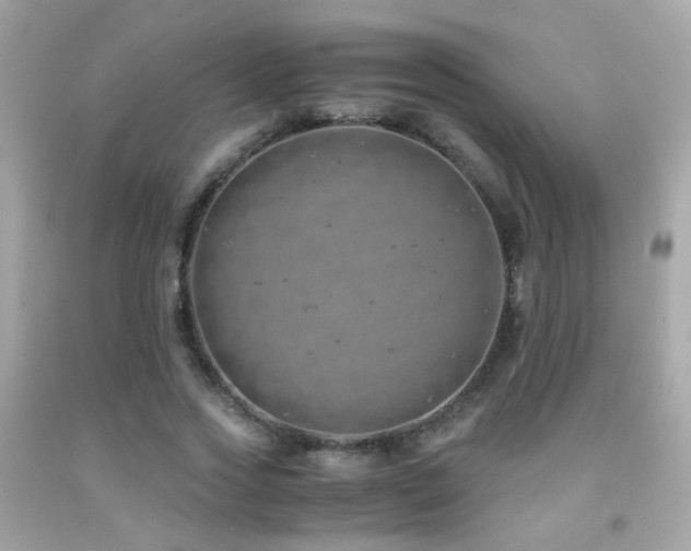 X0000091860733200709051208