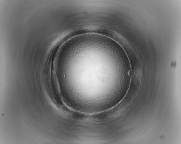 X0000091860734200709051208