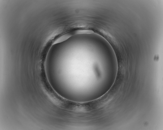 X0000091860735200709051208