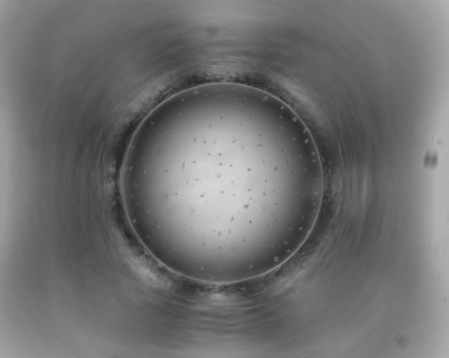 X0000091860737200709051208