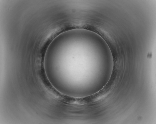 X0000091860739200709051208