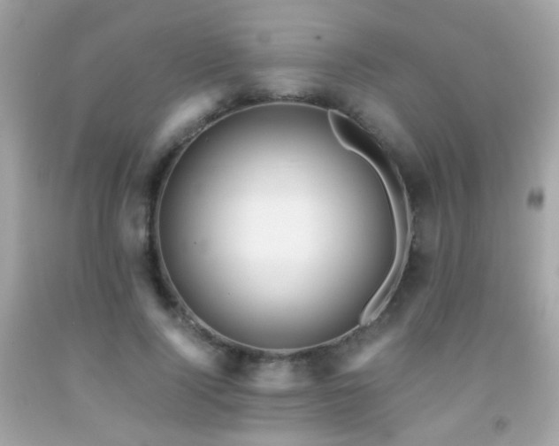 X0000091860740200709051208