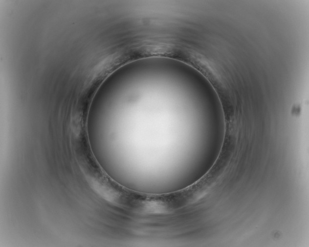 X0000091860741200709051208