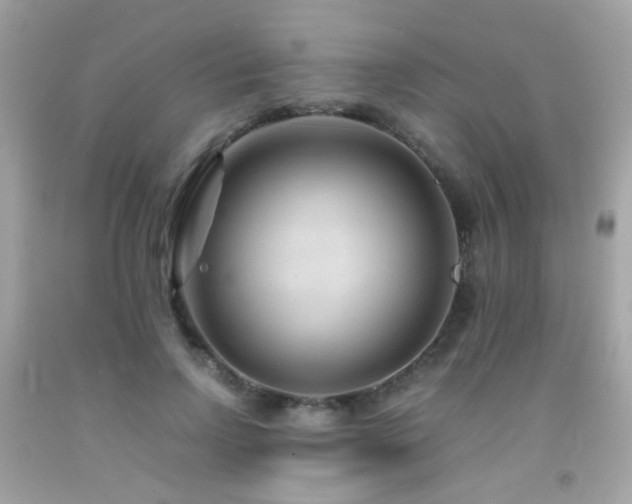 X0000091860742200709051208
