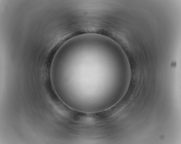 X0000091860743200709051208