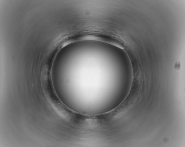 X0000091860744200709051208