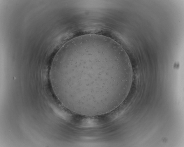 X0000091860745200709051208