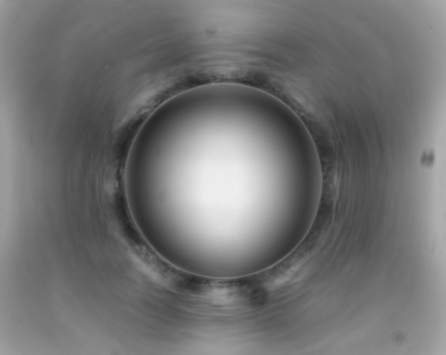 X0000091860746200709051208