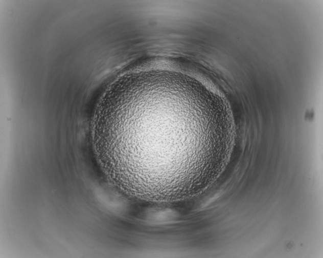 X0000091860747200709051208