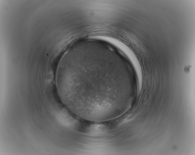 X0000091860748200709051208