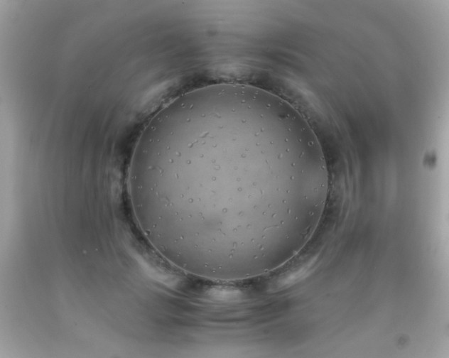 X0000091860749200709051208