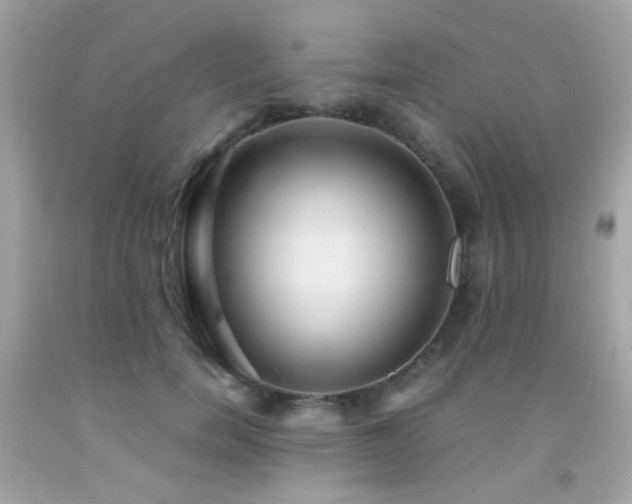 X0000091860750200709051208