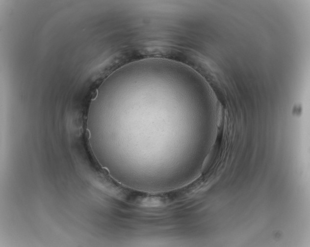 X0000091860751200709051208