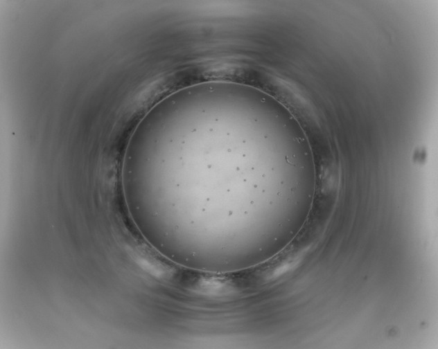 X0000091860753200709051208