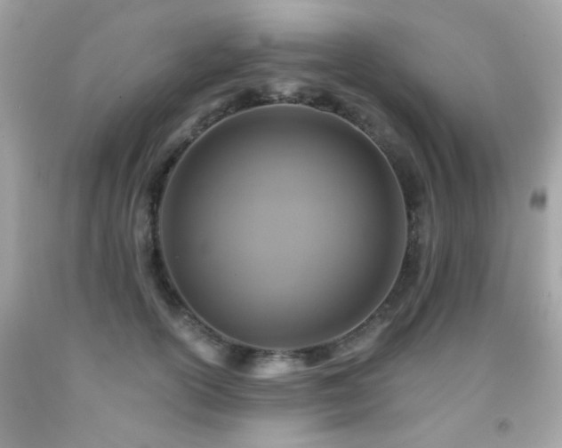 X0000091860754200709051208