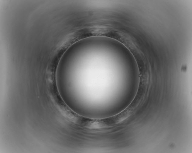 X0000091860755200709051208