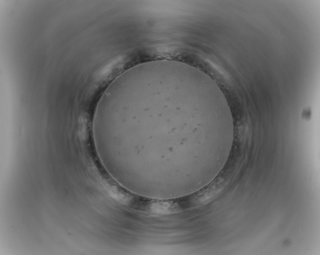 X0000091860757200709051208
