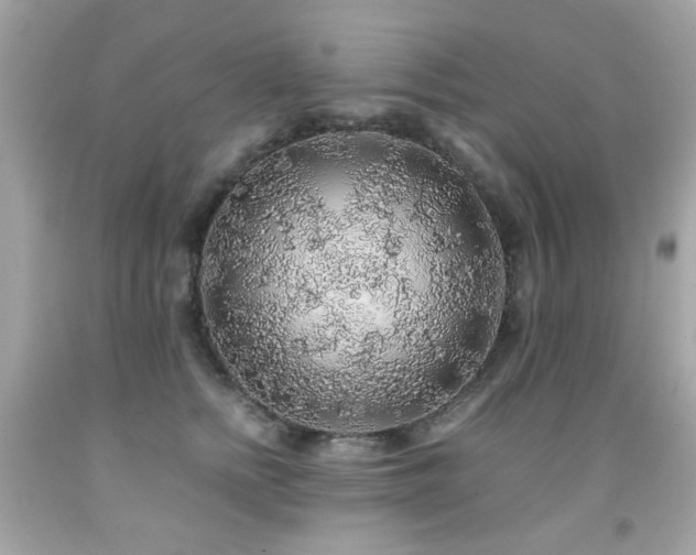 X0000091860758200709051208
