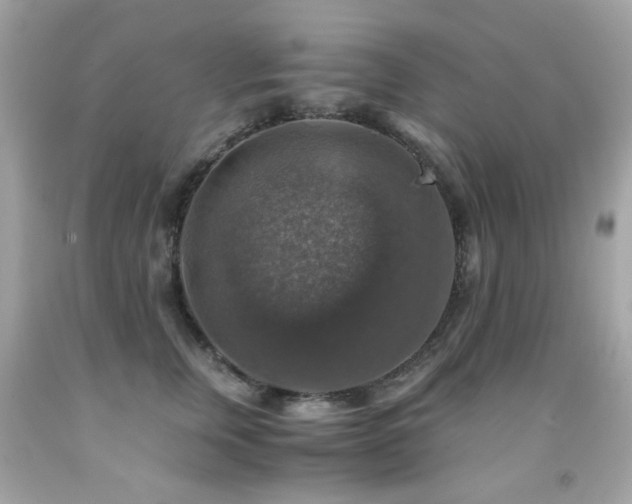 X0000091860759200709051208