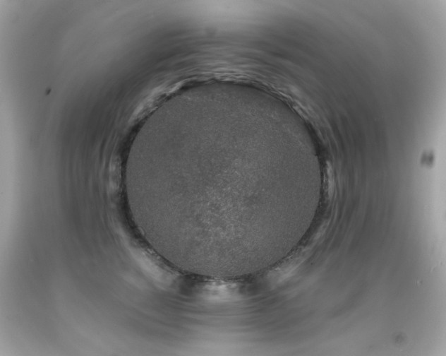 X0000091860760200709051208