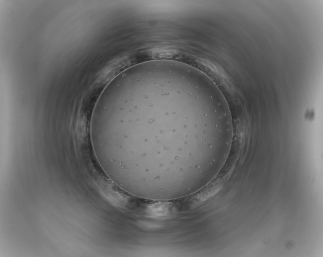 X0000091860761200709051208