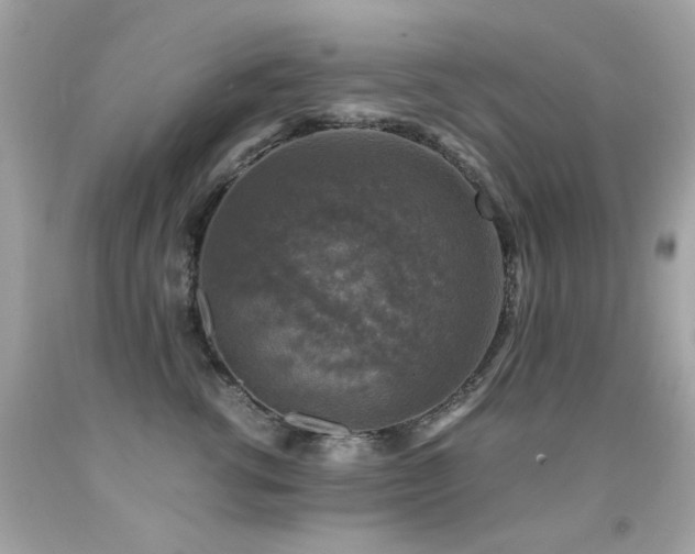 X0000091860762200709051208