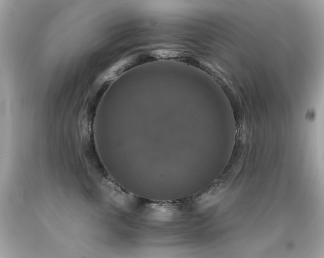 X0000091860763200709051208