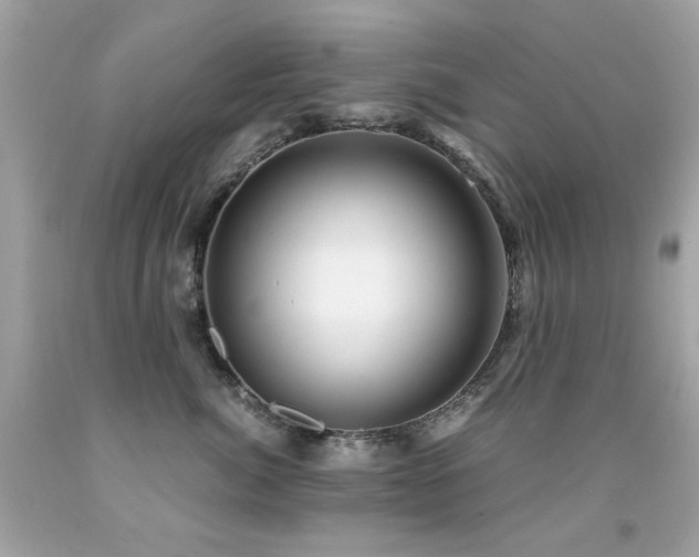 X0000091860764200709051208