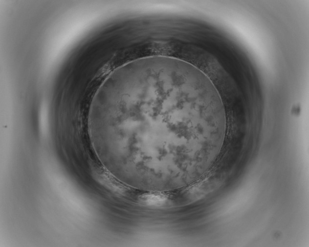 X0000091860765200709051208