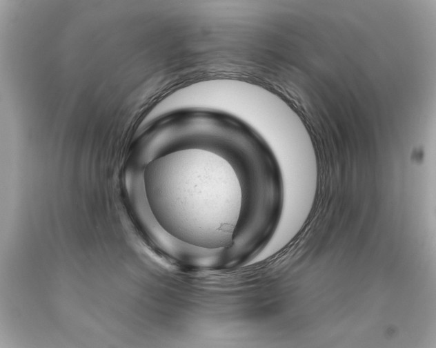 X0000091860766200709051208