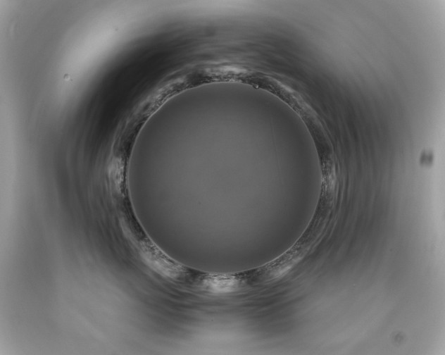X0000091860767200709051208
