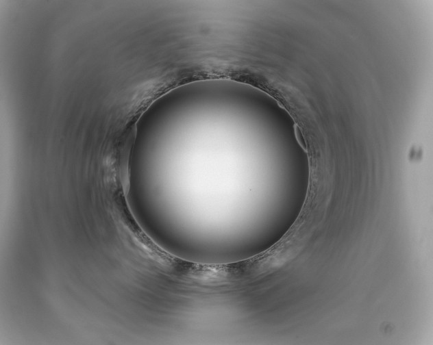 X0000091860768200709051208