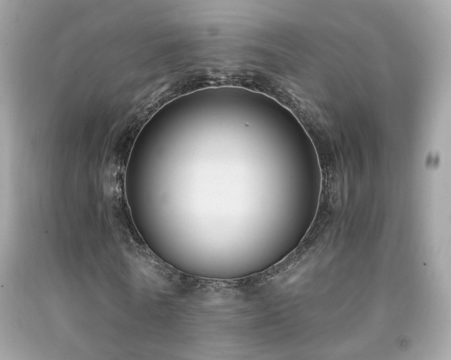 X0000091860770200709051207