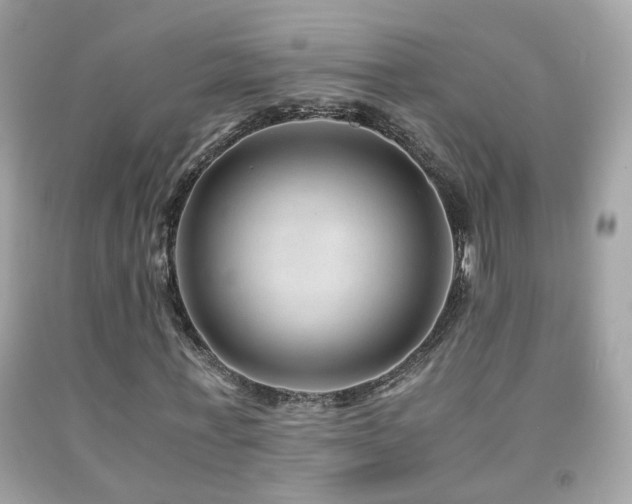 X0000091860771200709051207