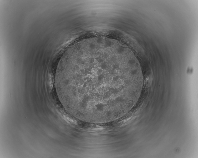 X0000091860772200709051207