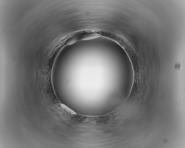 X0000091860773200709051207
