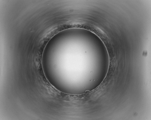 X0000091860774200709051207