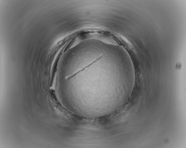 X0000091860775200709051207