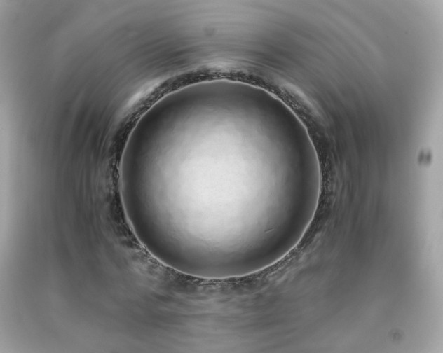 X0000091860776200709051207