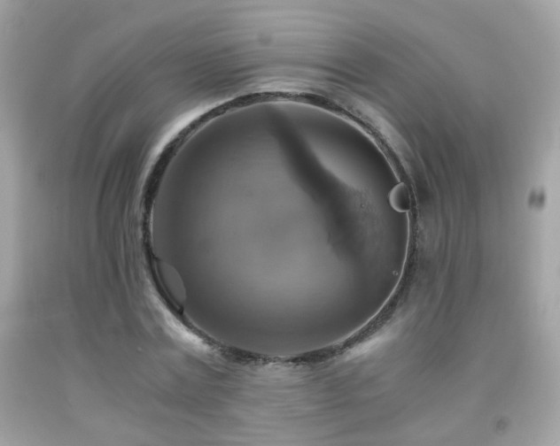 X0000091860779200709051207