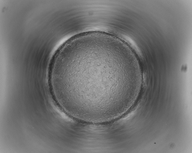 X0000091860780200709051207