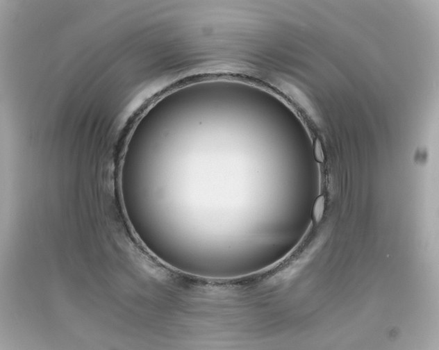 X0000091860781200709051207