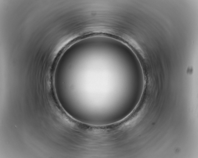X0000091860782200709051207