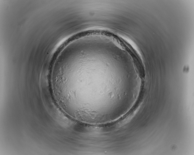 X0000091860783200709051207