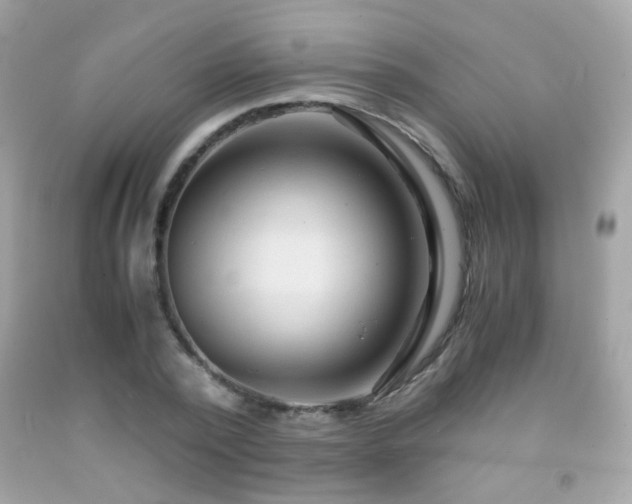 X0000091860784200709051207