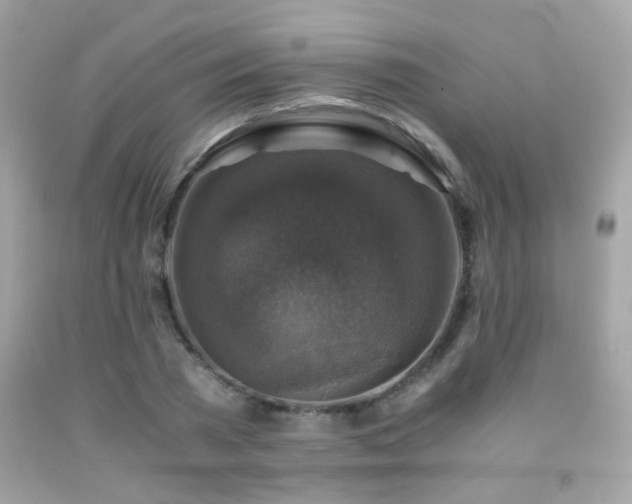 X0000091860785200709051207