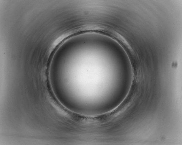 X0000091860786200709051207