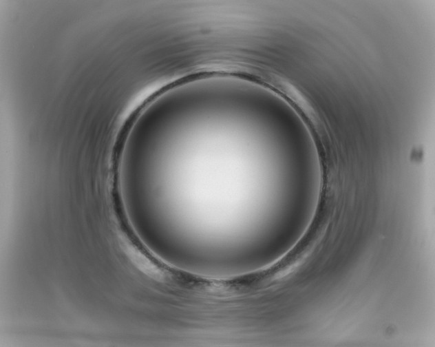 X0000091860787200709051207