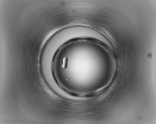 X0000091860788200709051207